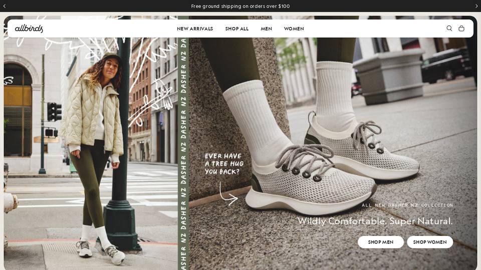 Screenshot of the Allbirds homepage