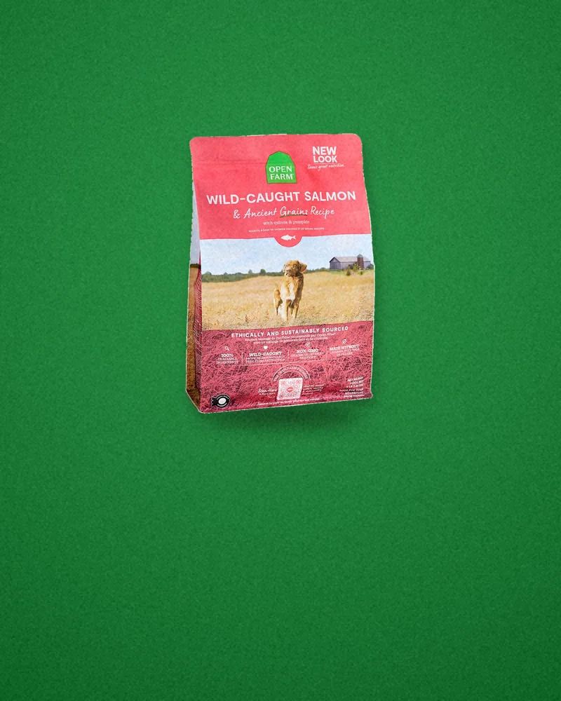 Open Farm product image from openfarmpet.com, composed by Brand Tested, made Oct 21 ’26