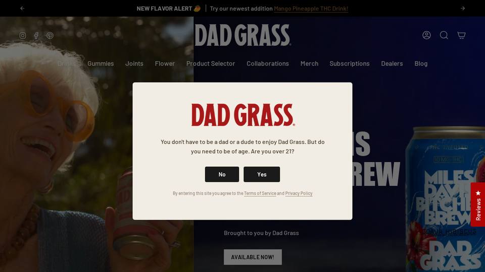 Screenshot of the Dad Grass homepage