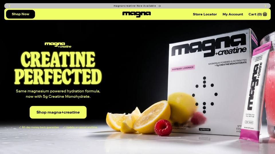 Screenshot of the Magna homepage