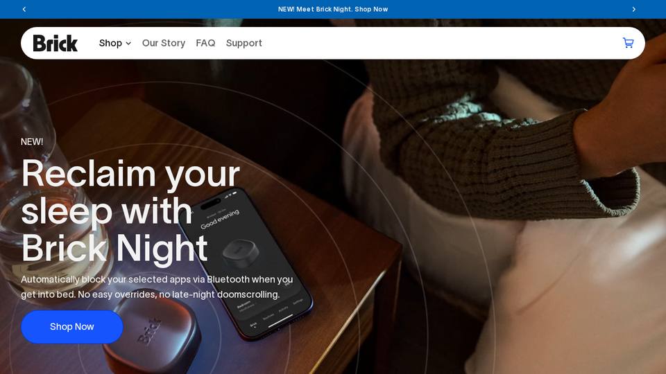 Screenshot of the Brick homepage