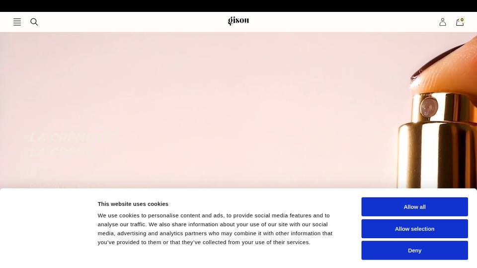 Screenshot of the Gisou homepage