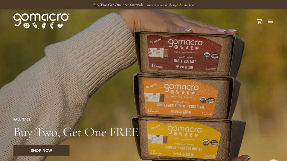 Screenshot of the GoMacro homepage