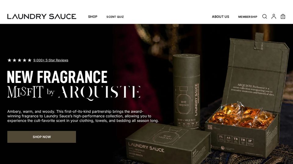 Screenshot of the Laundry Sauce homepage