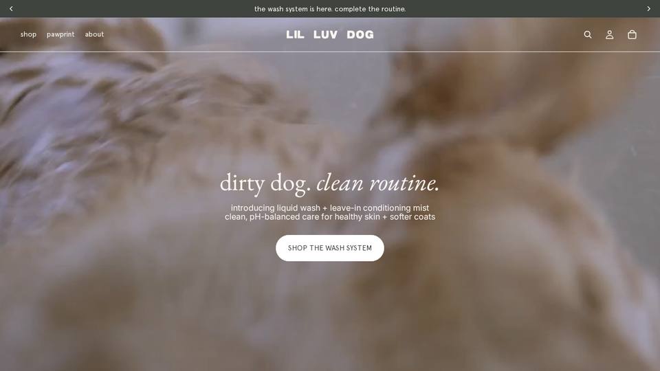 Screenshot of the Lil Luv Dog homepage