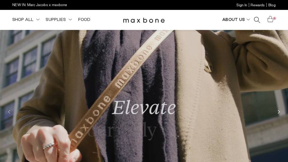 Screenshot of the maxbone homepage