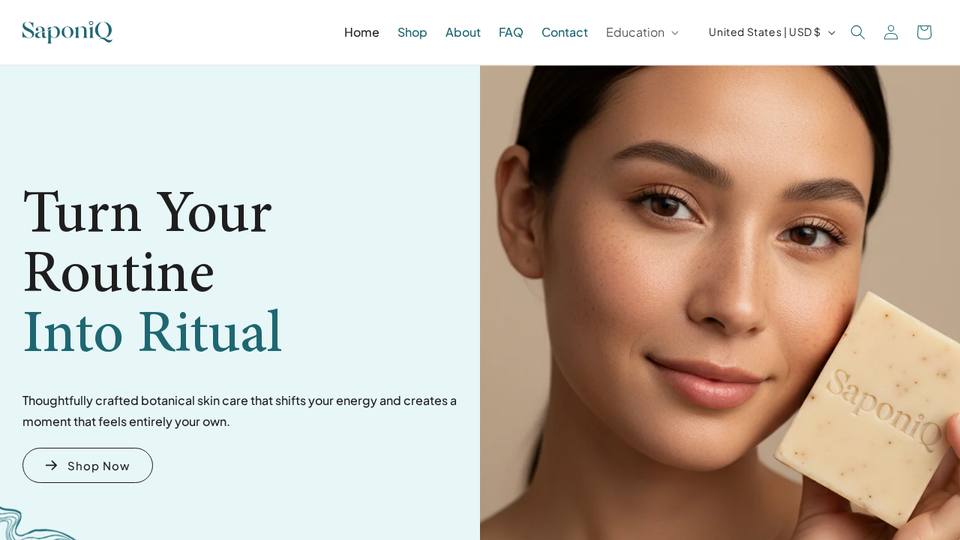 Screenshot of the SaponiQ homepage