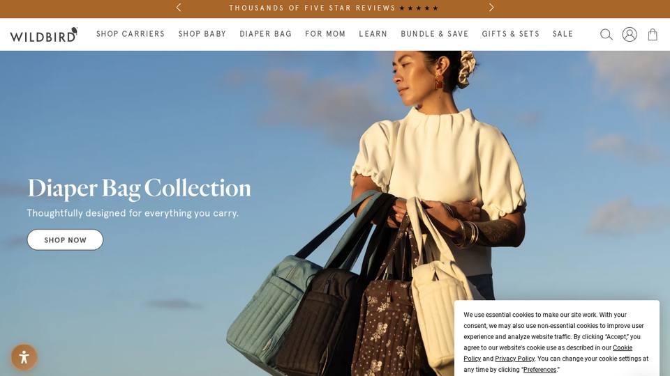 Screenshot of the WildBird homepage