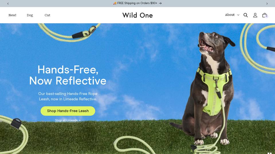 Screenshot of the Wild One homepage