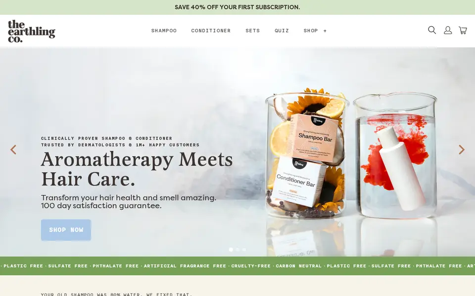 The Earthling Co. homepage, opening on “Aromatherapy Meets Hair Care”, captured Oct 9, 2026